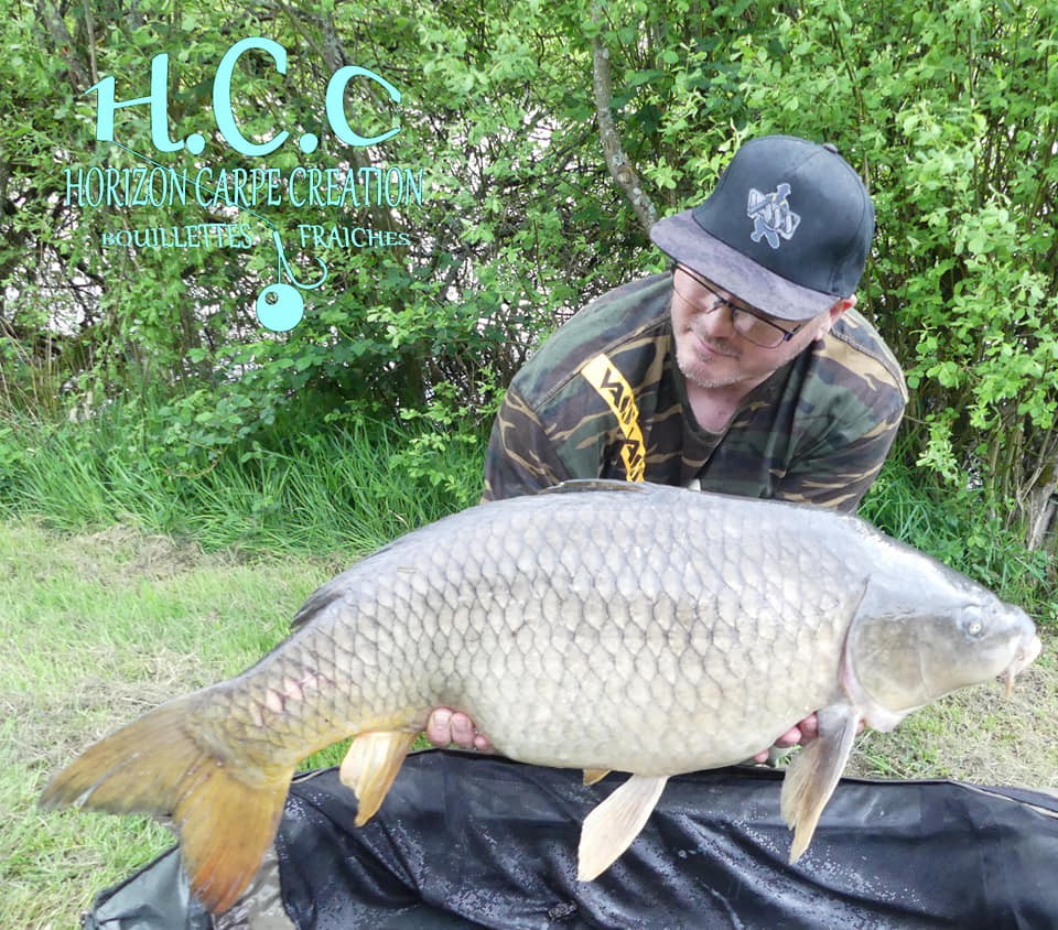 CEDRIC LAMBERT - TESTEUR HCC