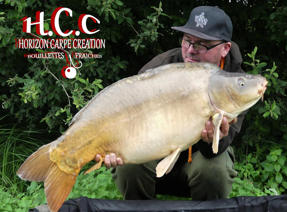 CEDRIC LAMBERT - TESTEUR HCC