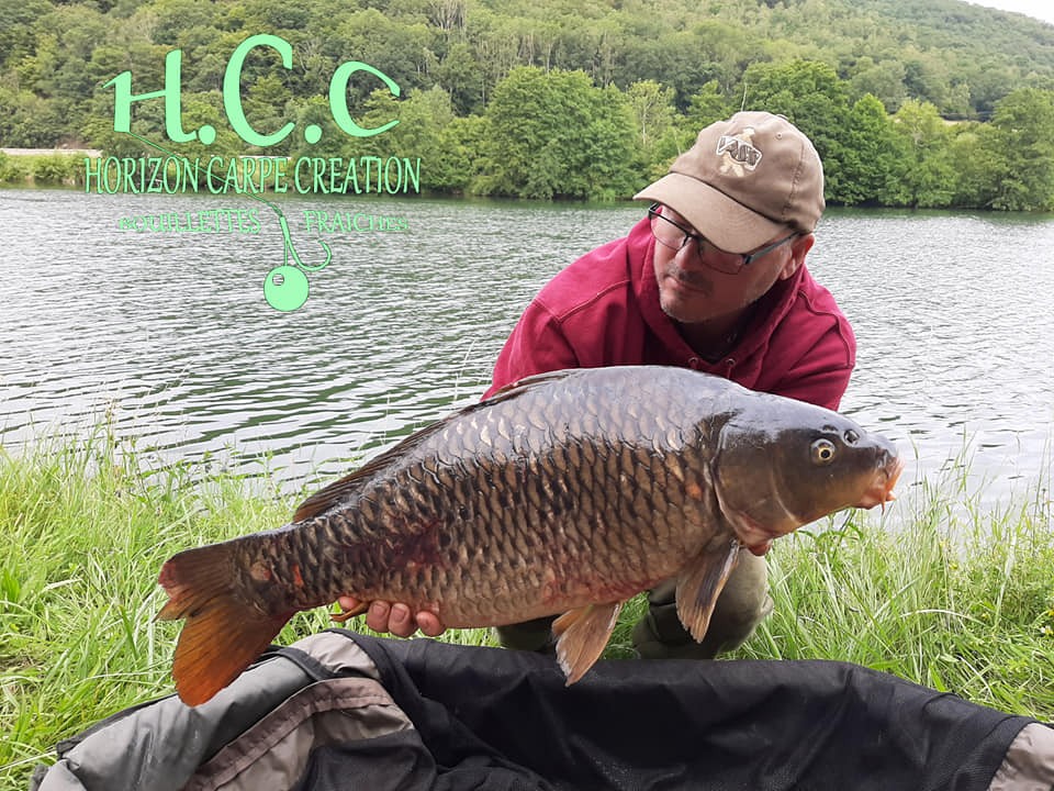 CEDRIC LAMBERT - TESTEUR HCC