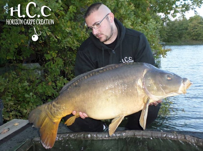 CEDRIC HAVY - CONSULTANT HCC