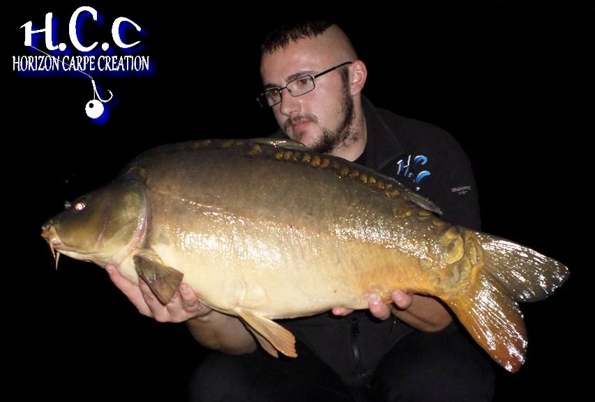 CEDRIC HAVY - CONSULTANT HCC