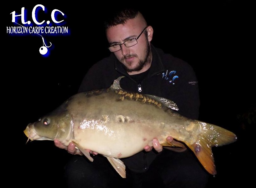 CEDRIC HAVY - CONSULTANT HCC