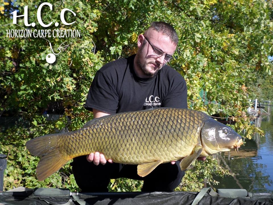 CEDRIC HAVY - CONSULTANT HCC