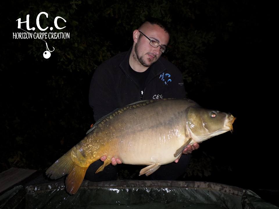 CEDRIC HAVY - CONSULTANT HCC