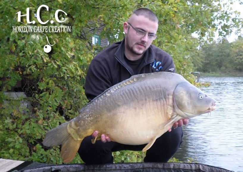 CEDRIC HAVY - CONSULTANT HCC