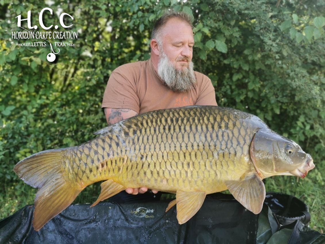 CHRIS COLLANGE - TESTEUR HCC