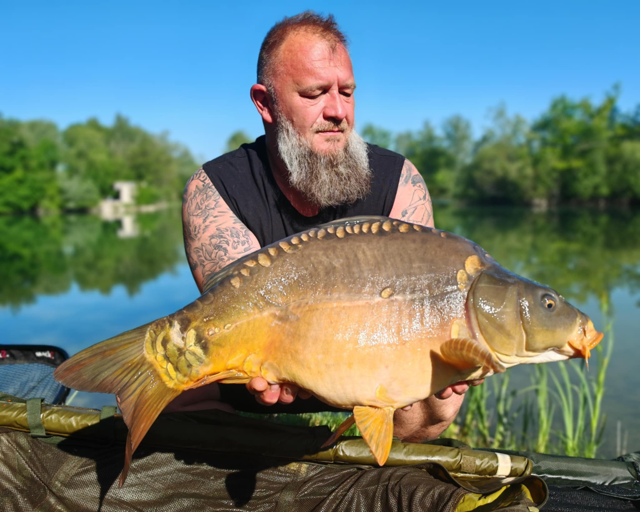 CHRISTOPHE COLLANGE - TESTEUR HCC