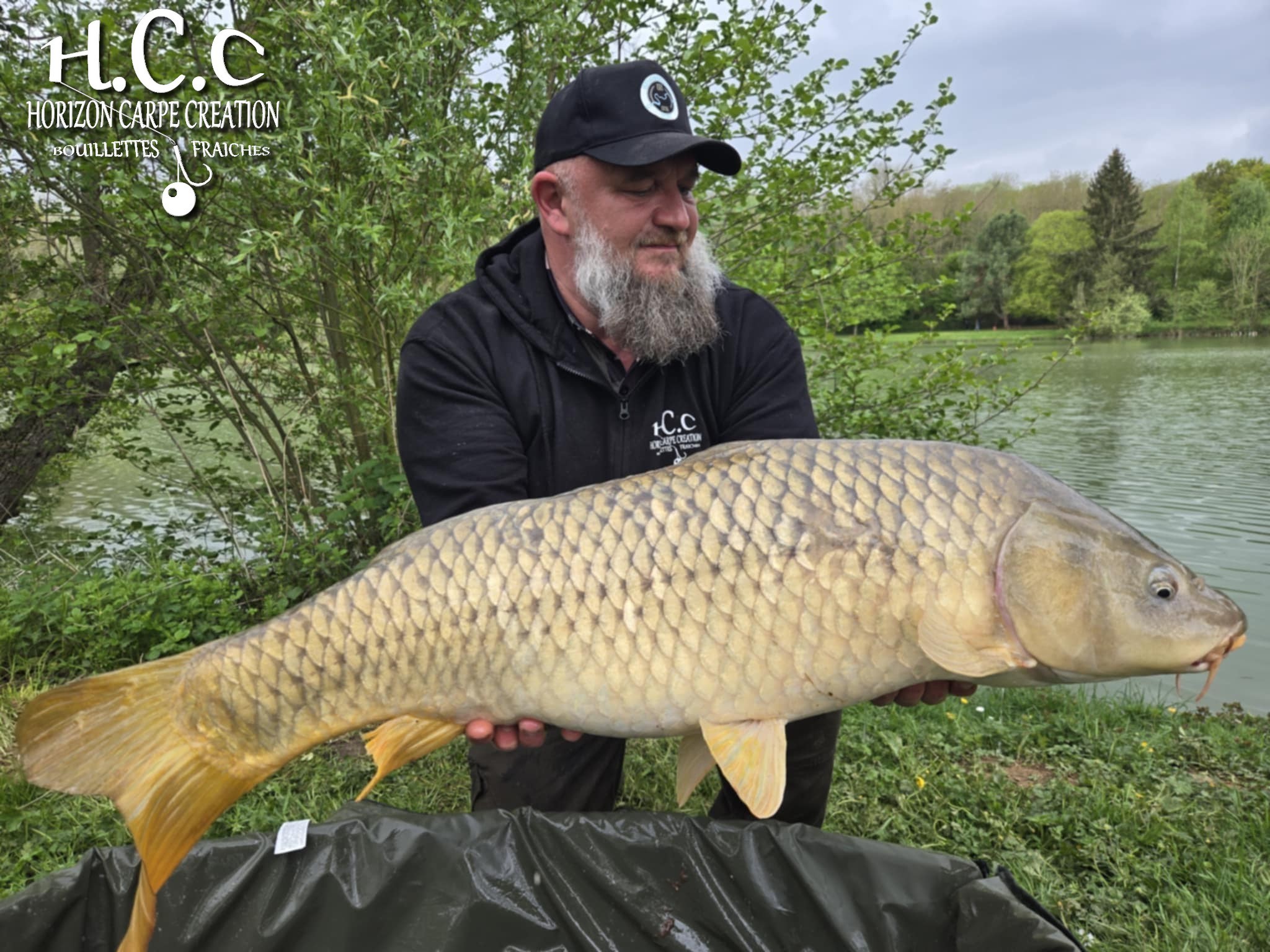 CHRISTOPHE COLLANGE - TESTEUR HCC
