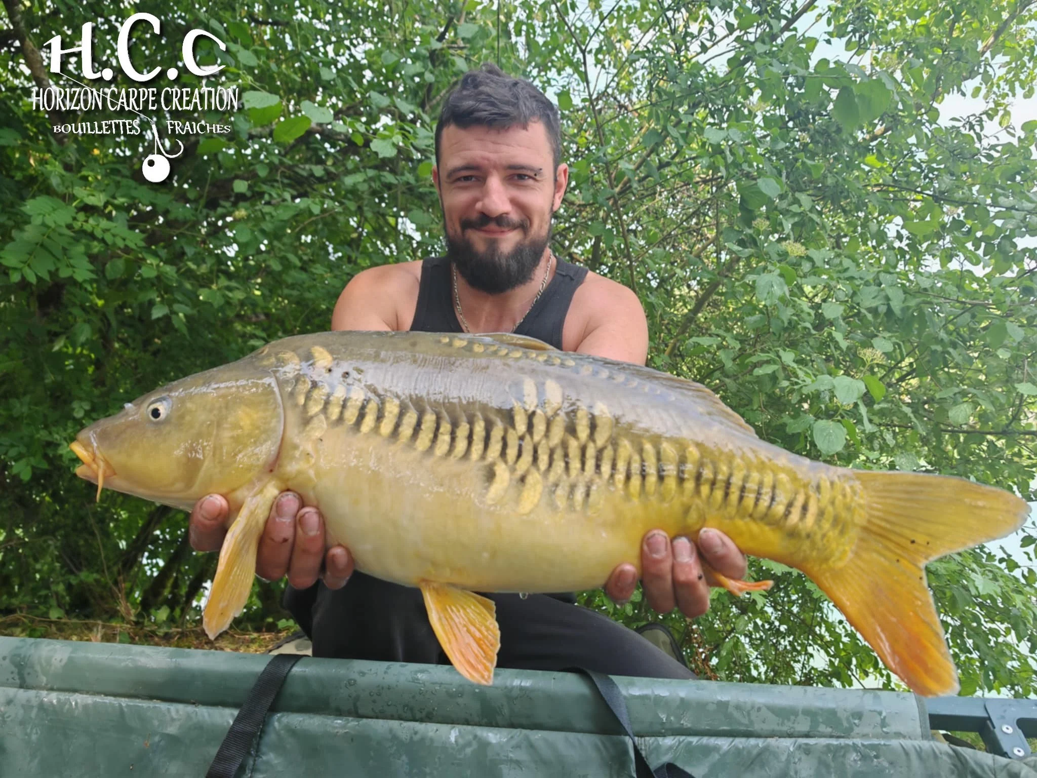 CHRISTOPHE COLLANGE - TESTEUR HCC