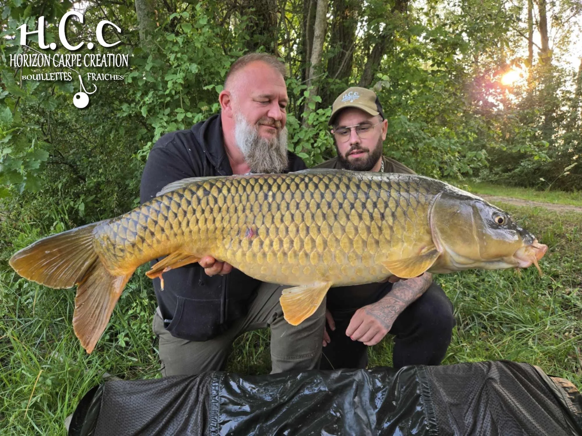 CHRISTOPHE COLLANGE - TESTEUR HCC