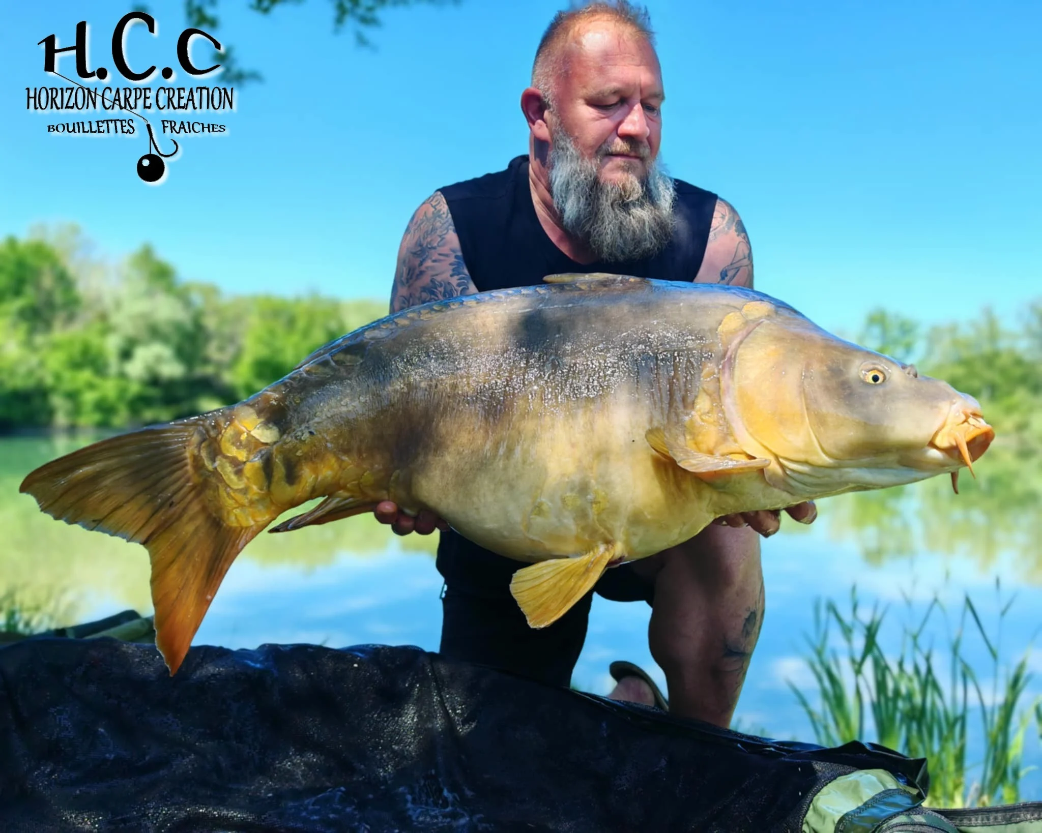 CHRISTOPHE COLLANGE - TESTEUR HCC