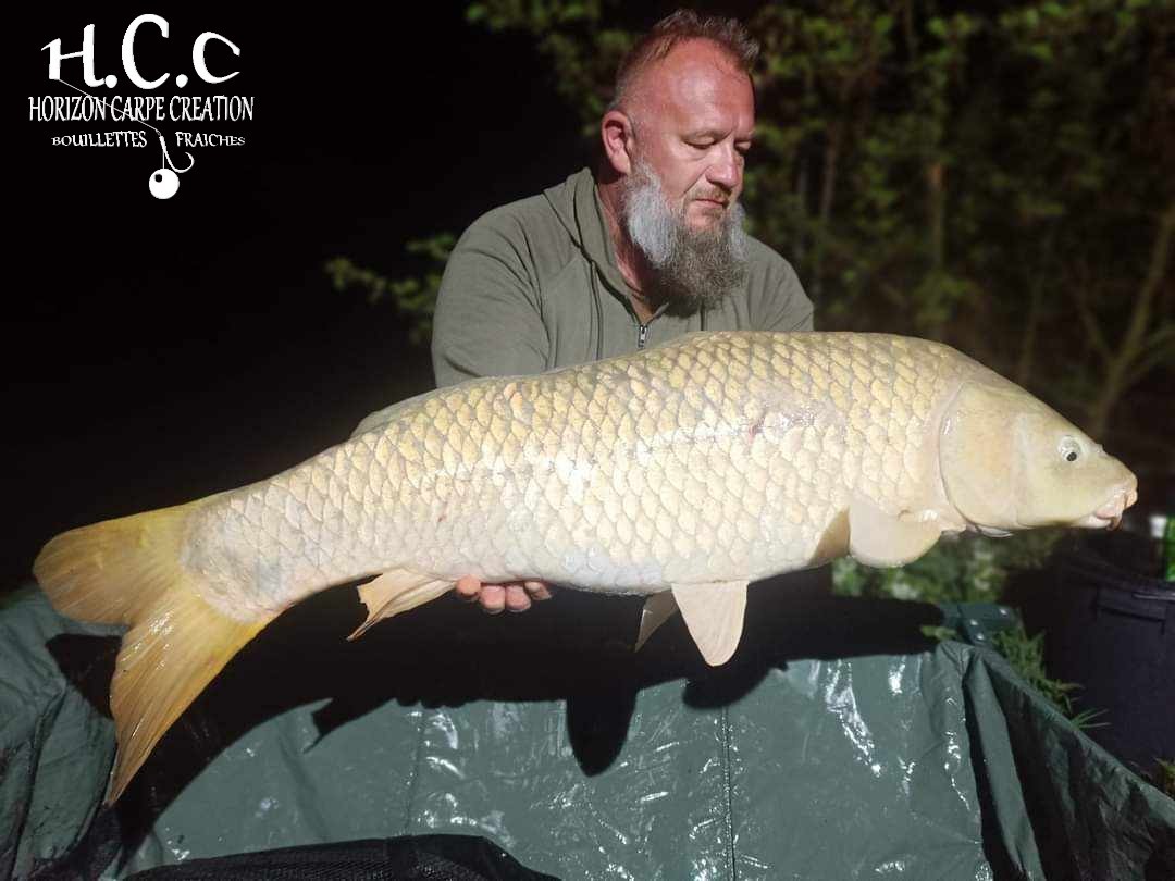 CHRISTOPHE COLLANGE - TESTEUR HCC