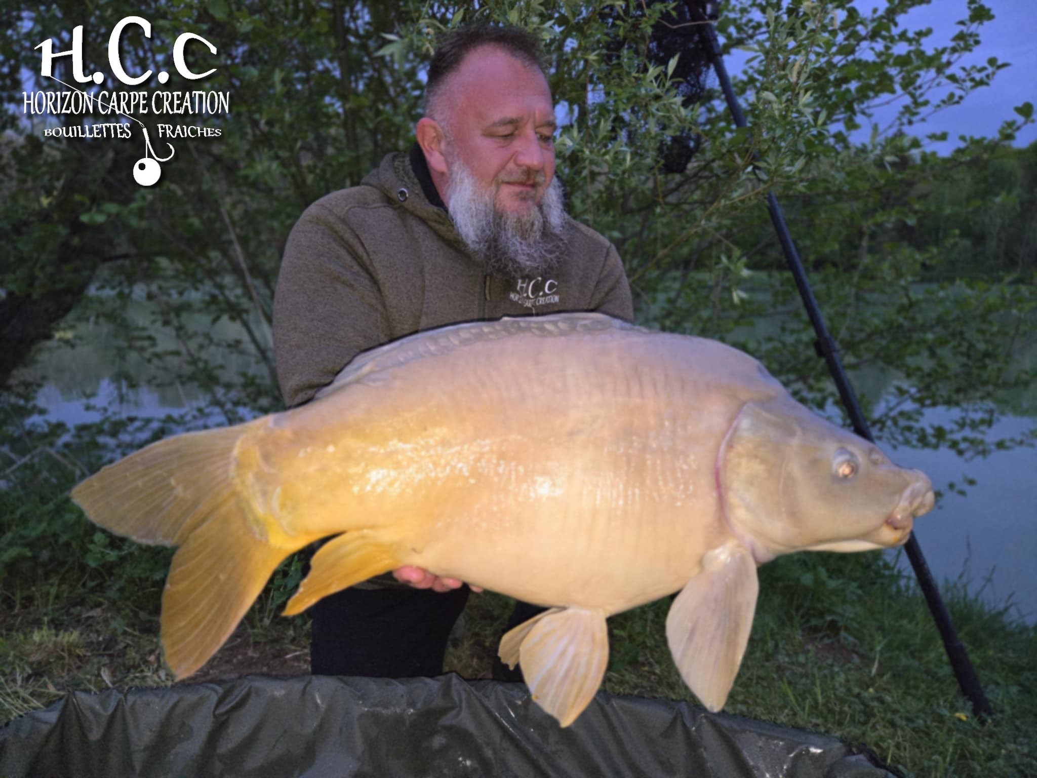 CHRISTOPHE COLLANGE - TESTEUR HCC