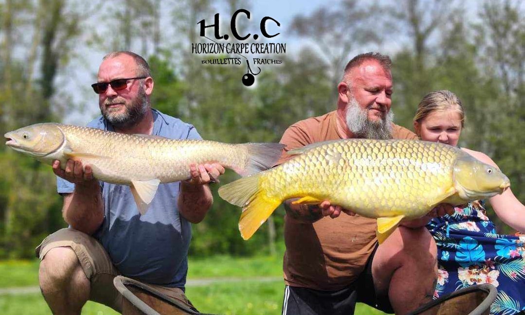 CHRISTOPHE COLLANGE - TESTEUR HCC