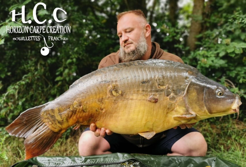 CHRISTOPHE COLLANGE - TESTEUR HCC