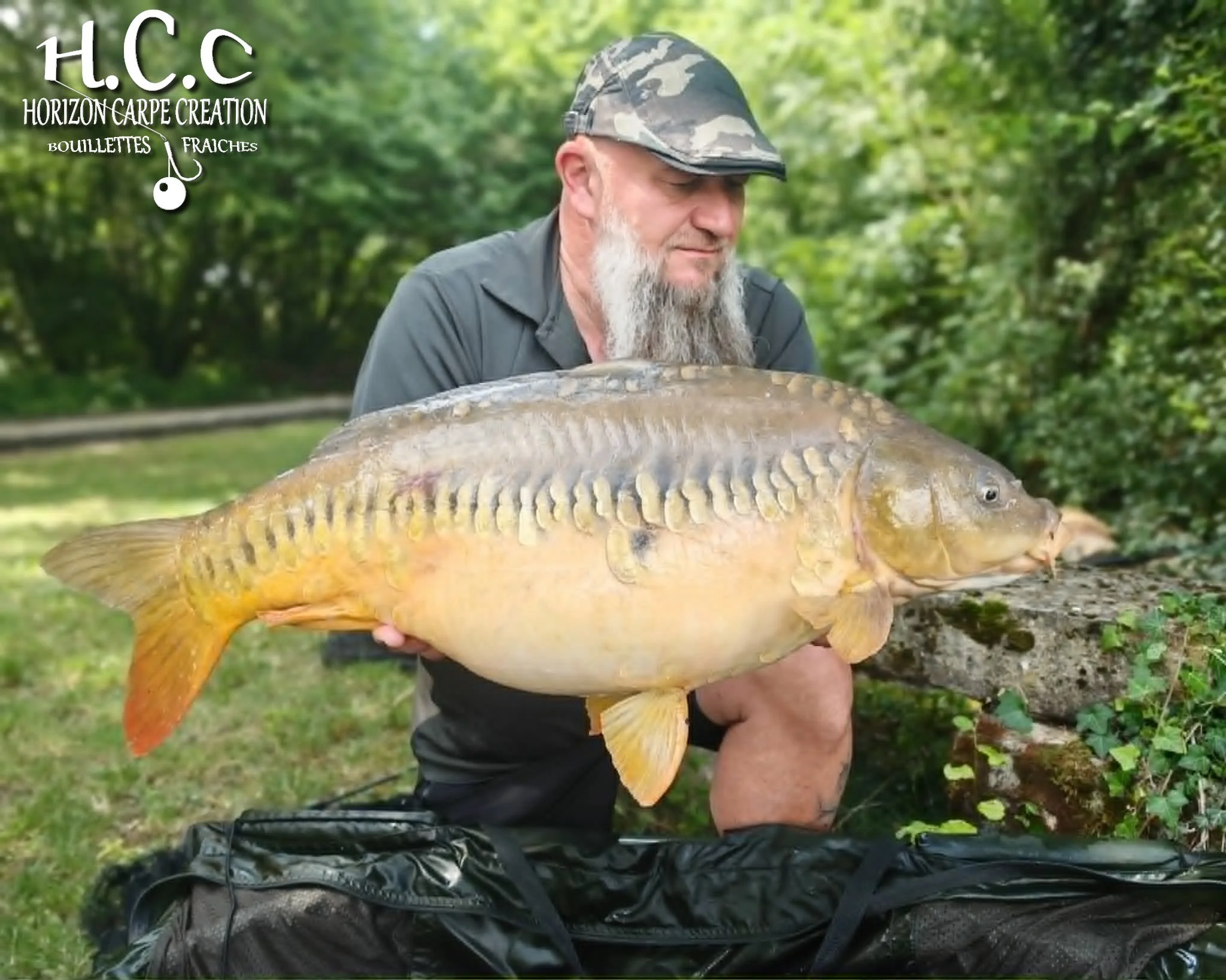CHRISTOPHE COLLANGE - CONSULTANT HCC