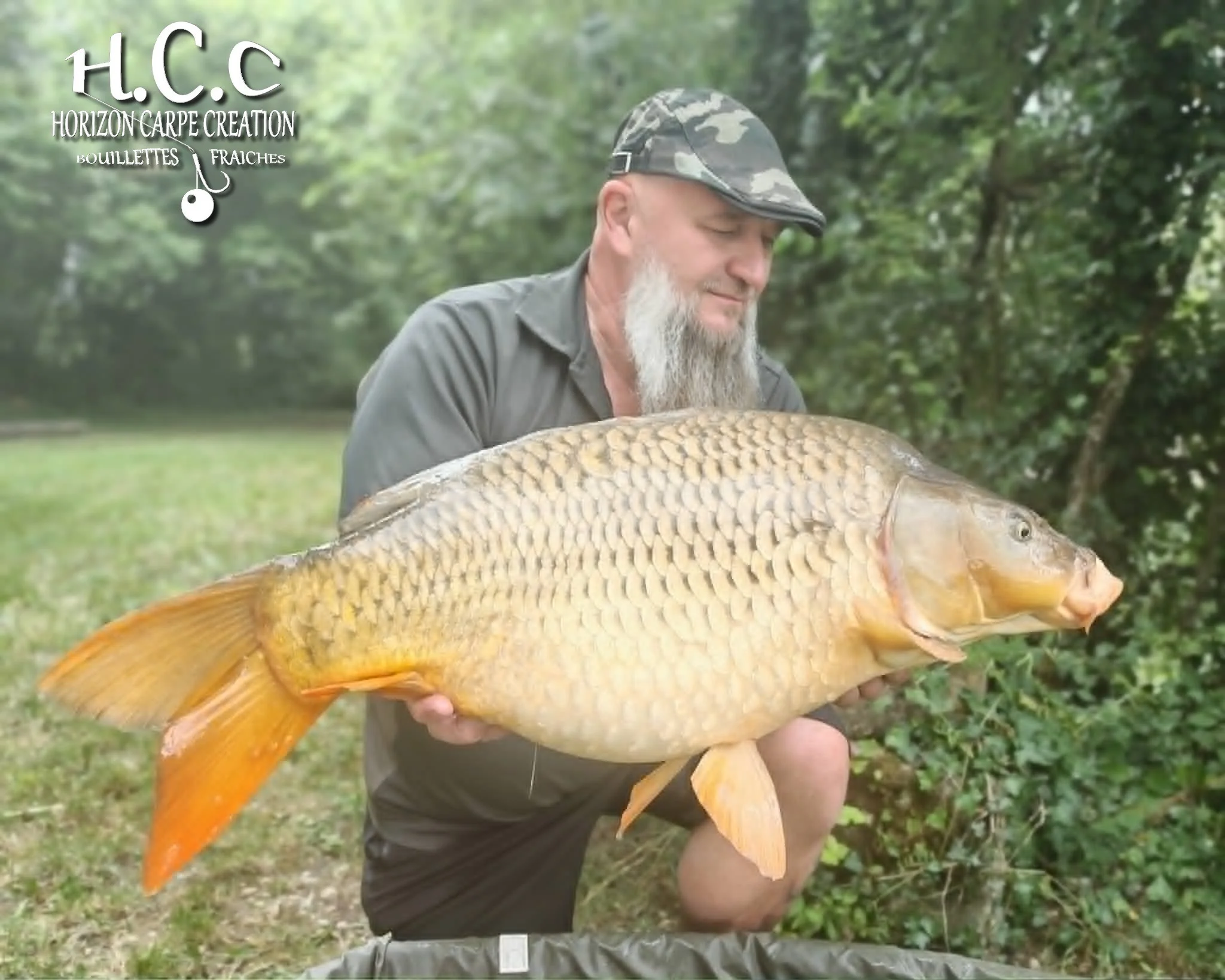 CHRISTOPHE COLLANGE - CONSULTANT HCC