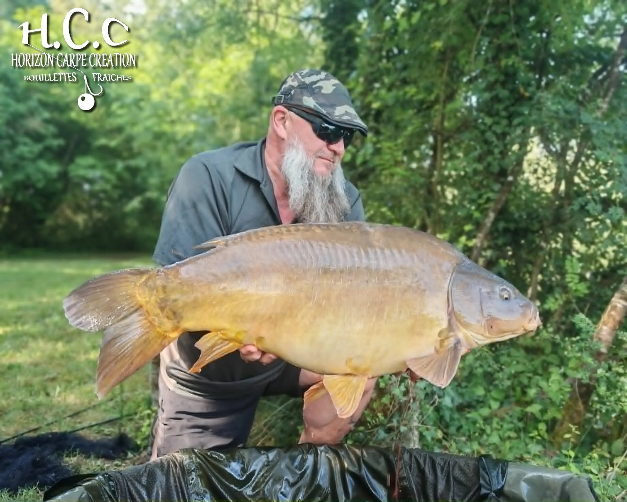 CHRISTOPHE COLLANGE - CONSULTANT HCC