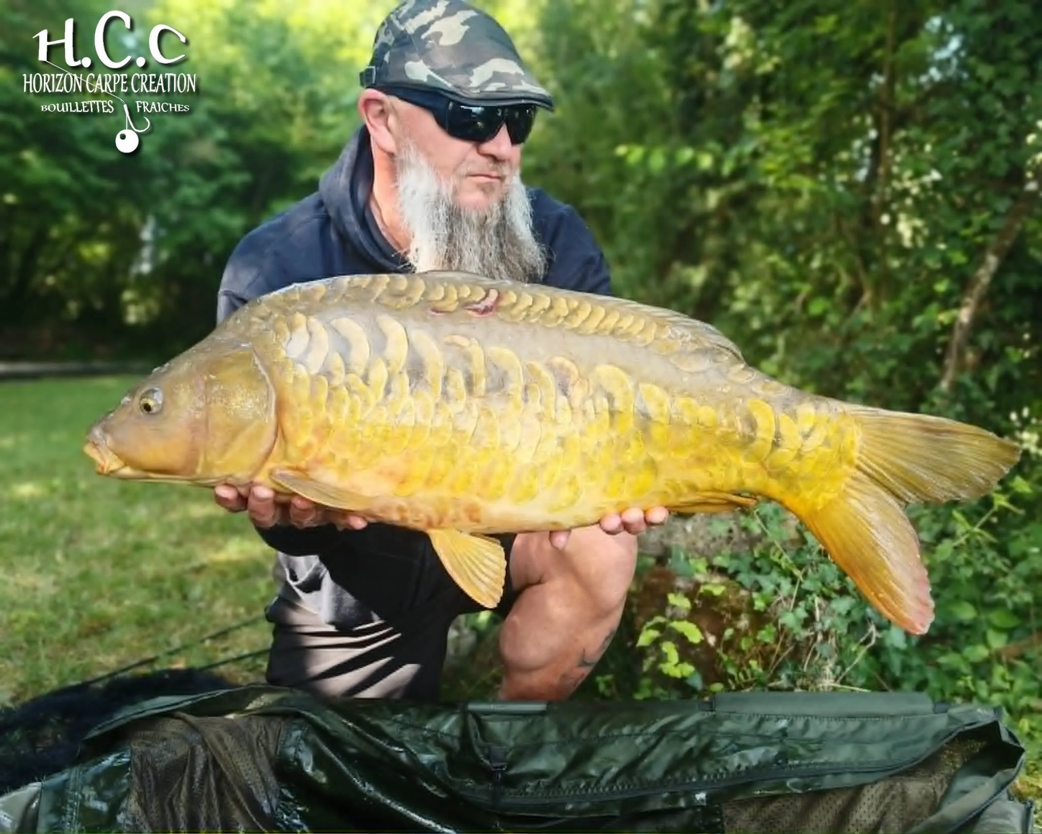CHRISTOPHE COLLANGE - CONSULTANT HCC