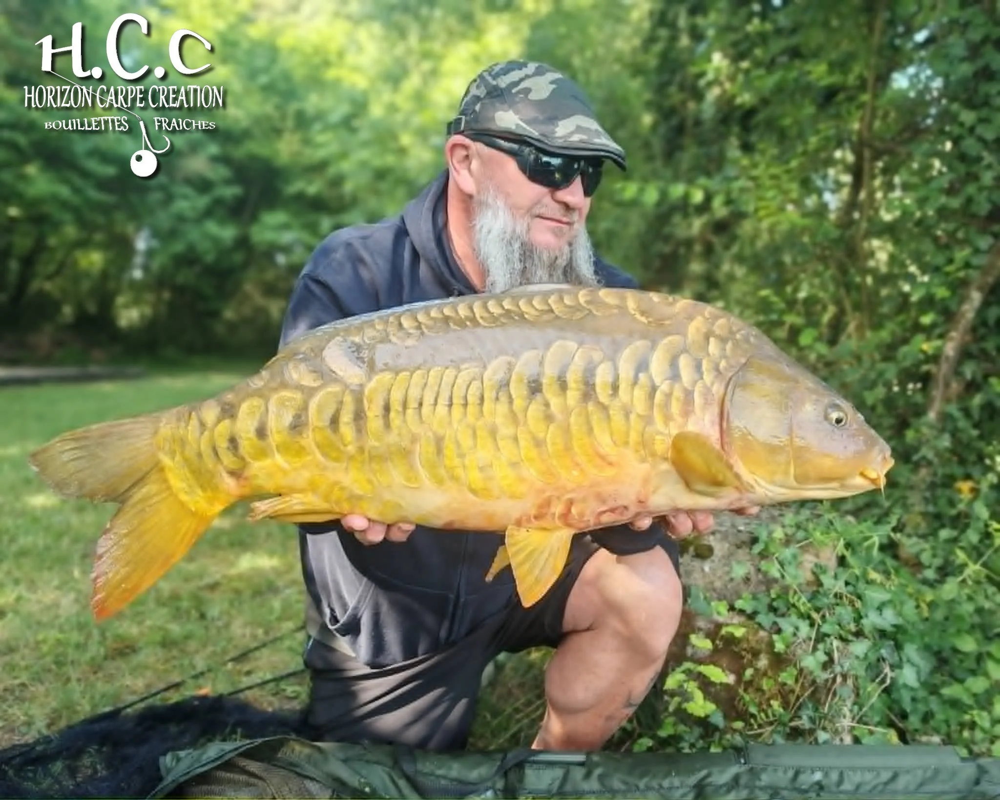 CHRISTOPHE COLLANGE - CONSULTANT HCC
