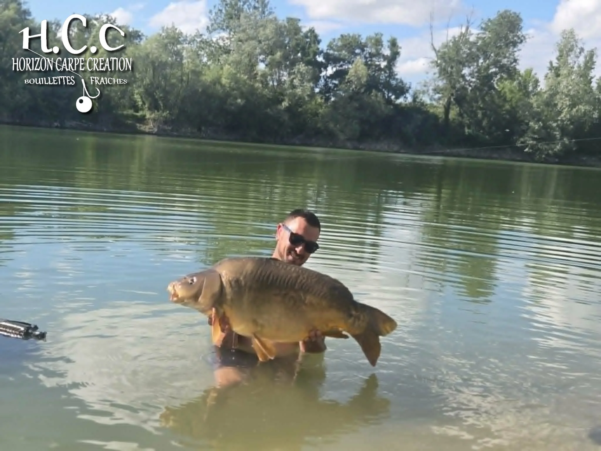CHRISTOPHE COLLANGE - CONSULTANT HCC