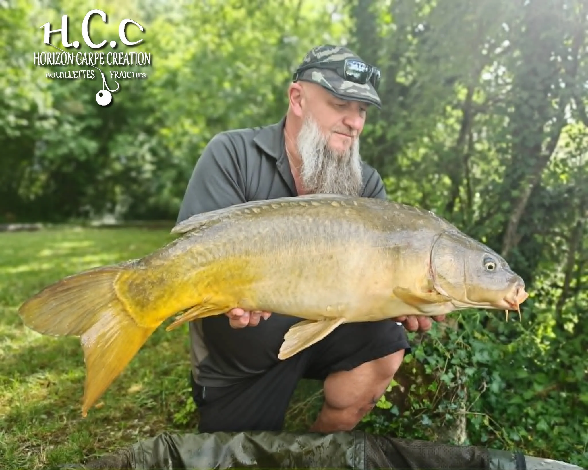 CHRISTOPHE COLLANGE - CONSULTANT HCC