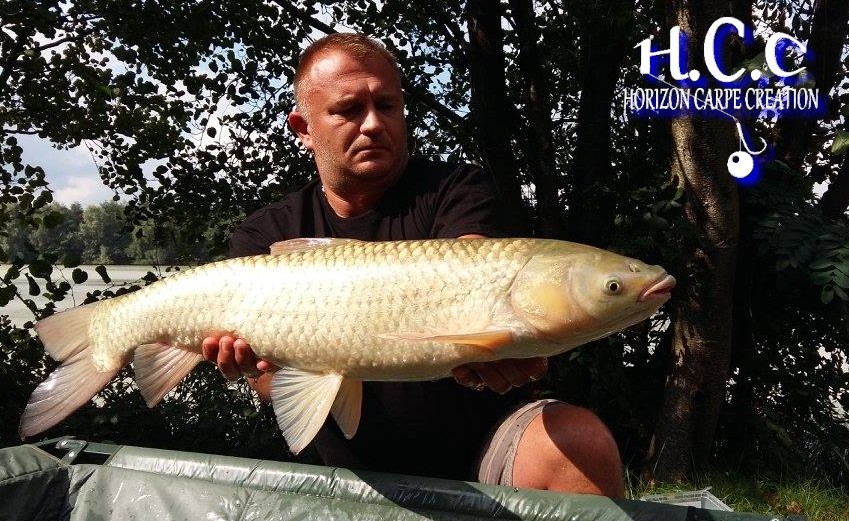 CHRISTOPHE COLLANGE - TEAM HCC IDF