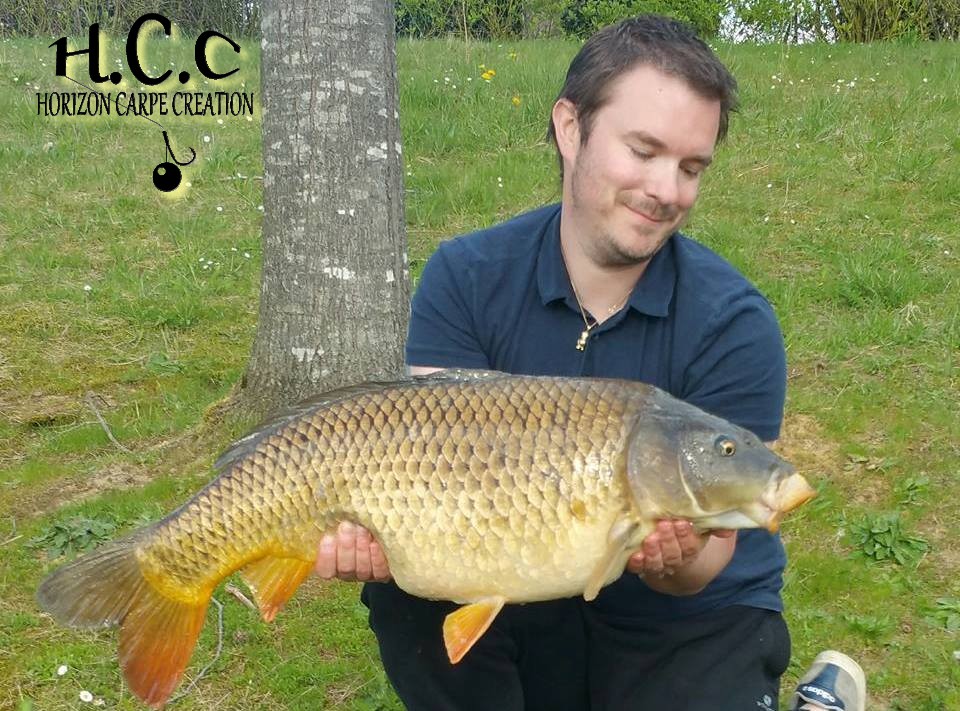 CHRISTIAN LACHAUSSEE - CONSULTANT HCC