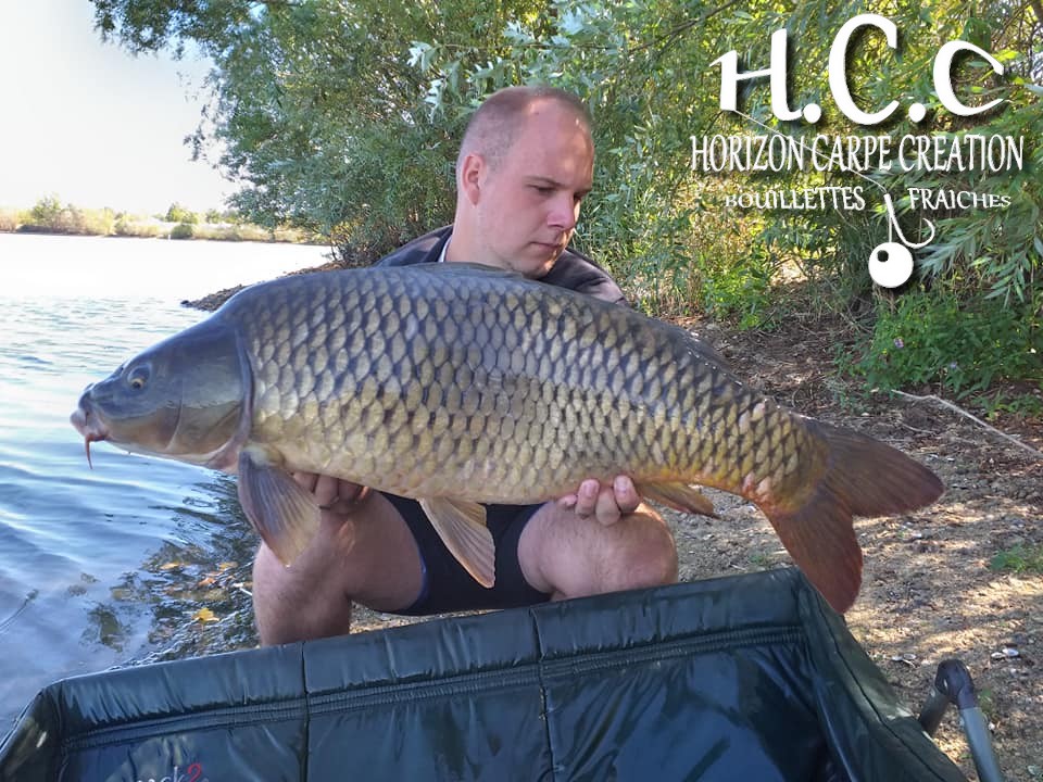 CHRISTOPHER LANSON - TEAM HCC