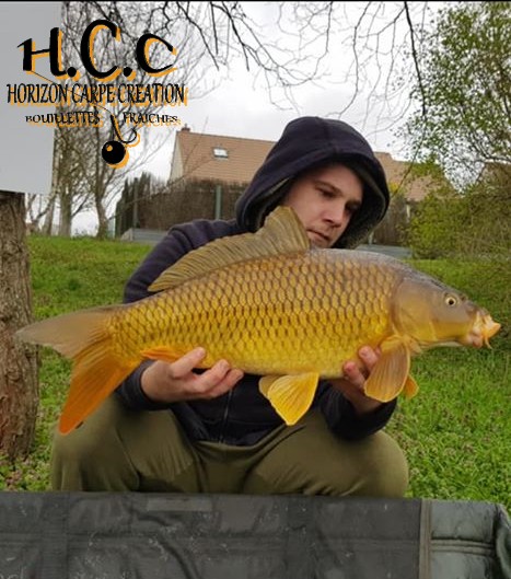 CHRISTOPHER LANSON - TEAM HCC