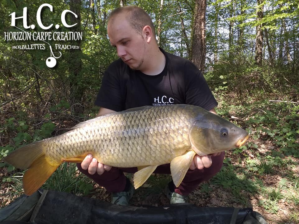 CHRISTOPHER LANSON - TEAM HCC 