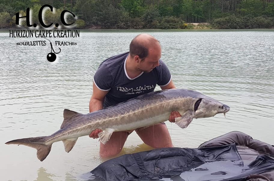 CHRISTOPHER LANSON - TEAM HCC