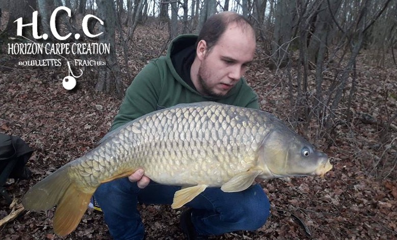 CHRISTOPHER LANSON - TEAM HCC