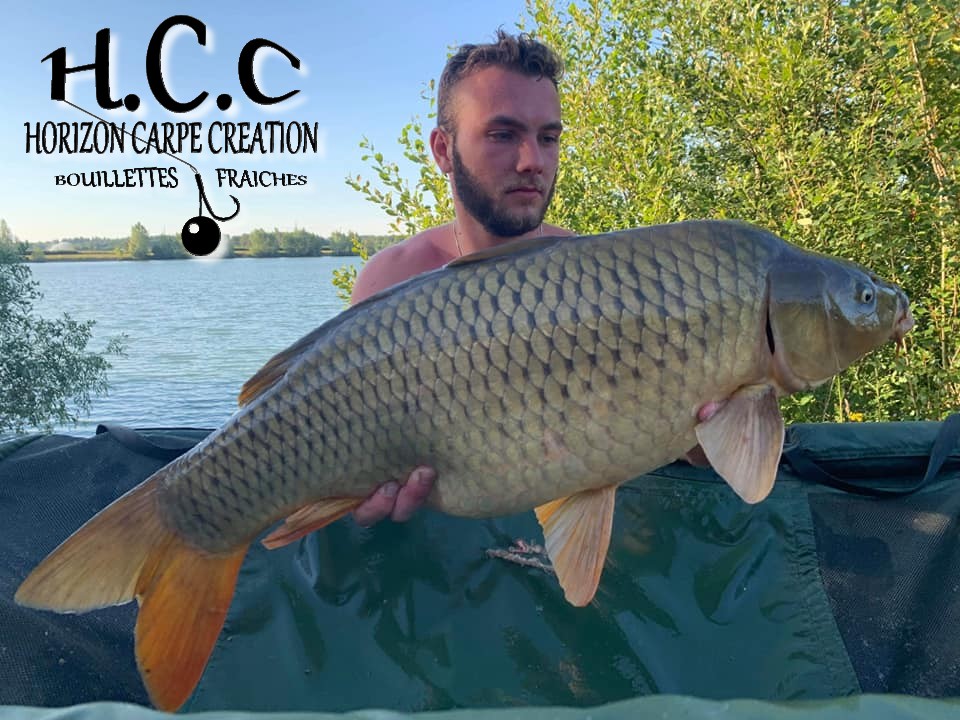 CLIENT HCC