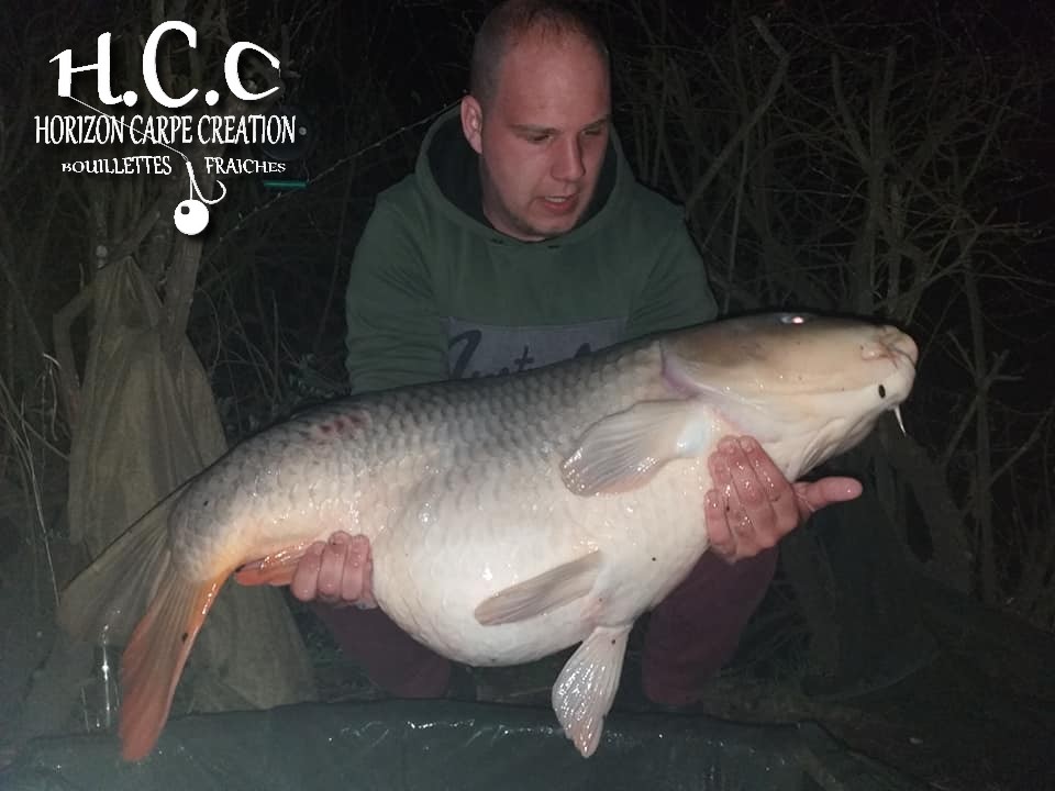 CHRISTOPHER LANSON - TEAM HCC 