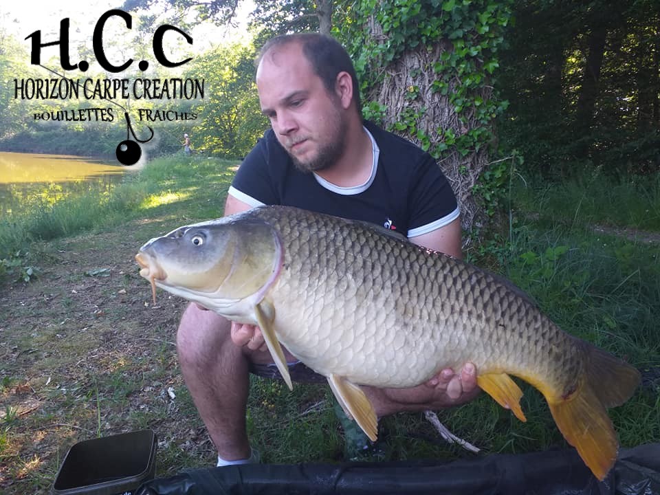 CHRISTOPHER LANSON - TEAM HCC