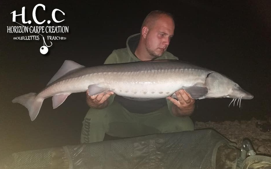 CHRISTOPHER LANSON - TEAM HCC