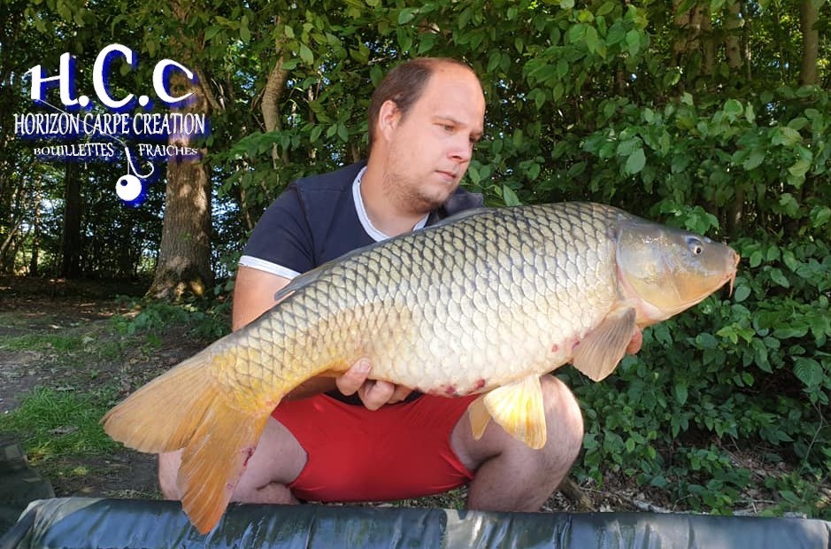 CHRISTOPHER LANSON - TEAM HCC