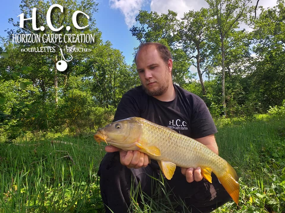 CHRISTOPHER LANSON - TEAM HCC