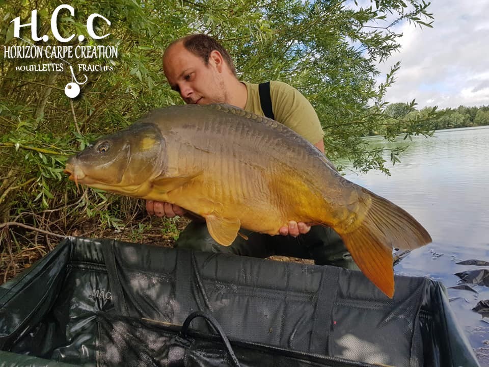 CHRISTOPHER LANSON - TEAM HCC