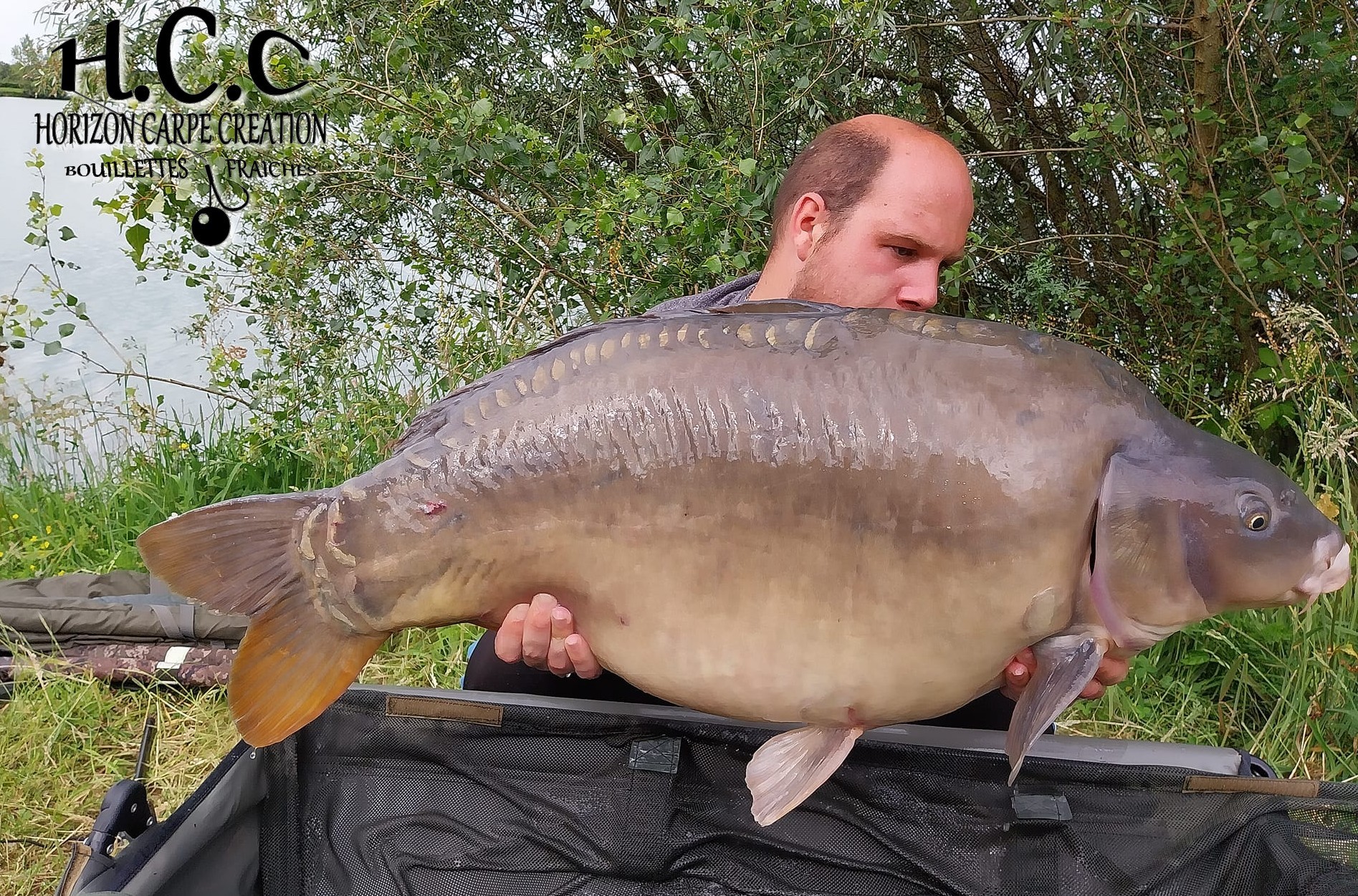 CHRISTOPHER LANSON - CONSULTANT HCC