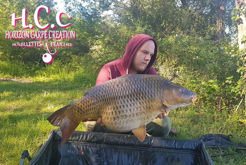 CHRISTOPHER LANSON - TEAM HCC