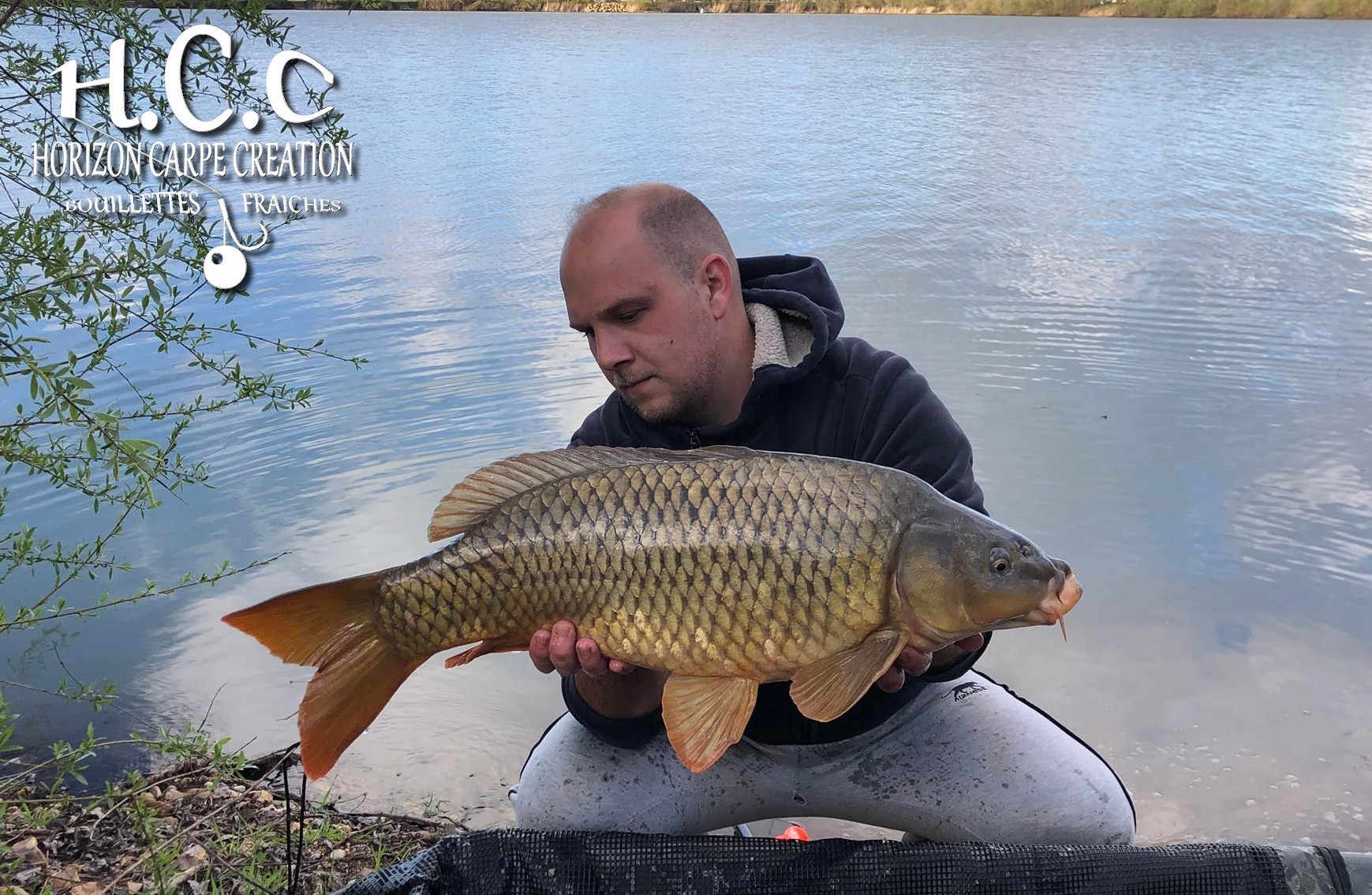 CHRISTOPHER LANSON - CONSULTANT HCC