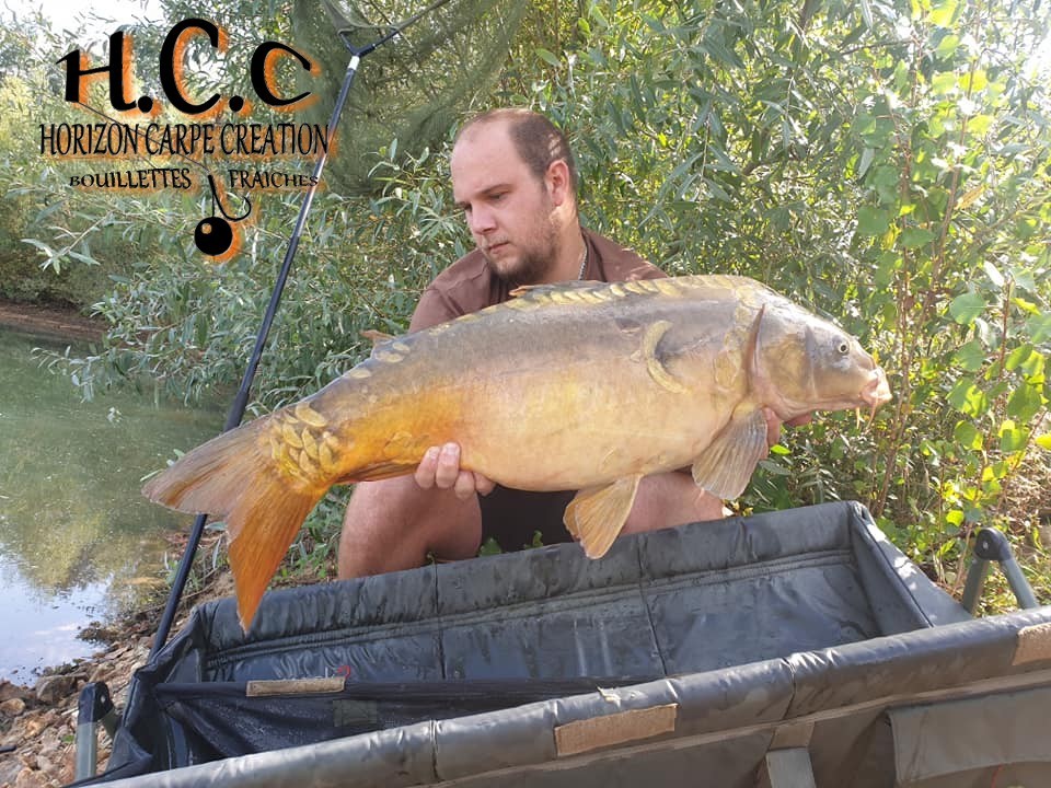 CHRISTOPHER LANSON - TEAM HCC
