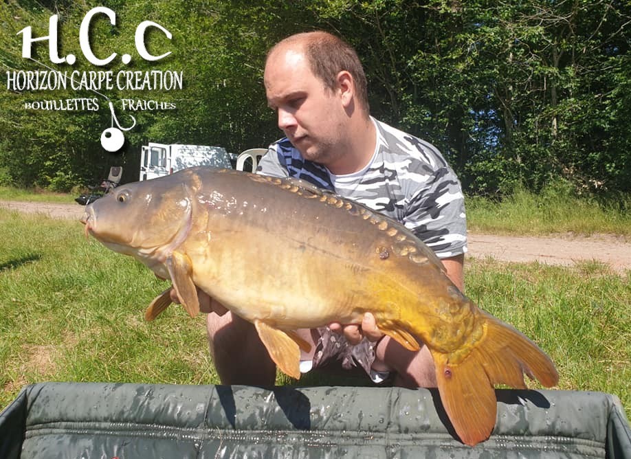 CHRISTOPHER LANSON - TEAM HCC