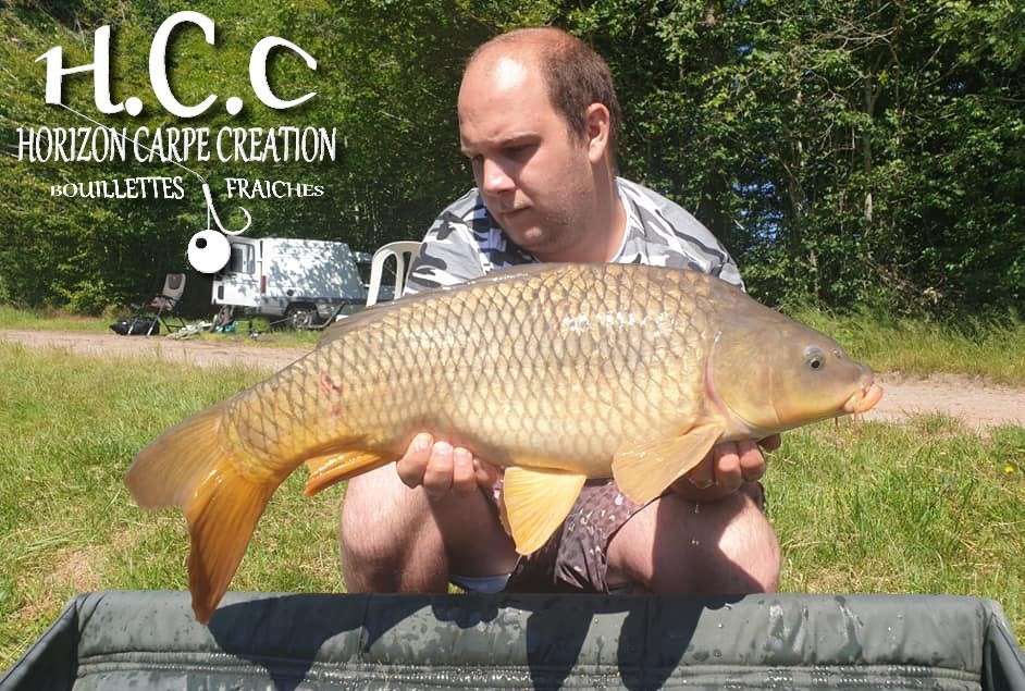 CHRISTOPHER LANSON - TEAM HCC