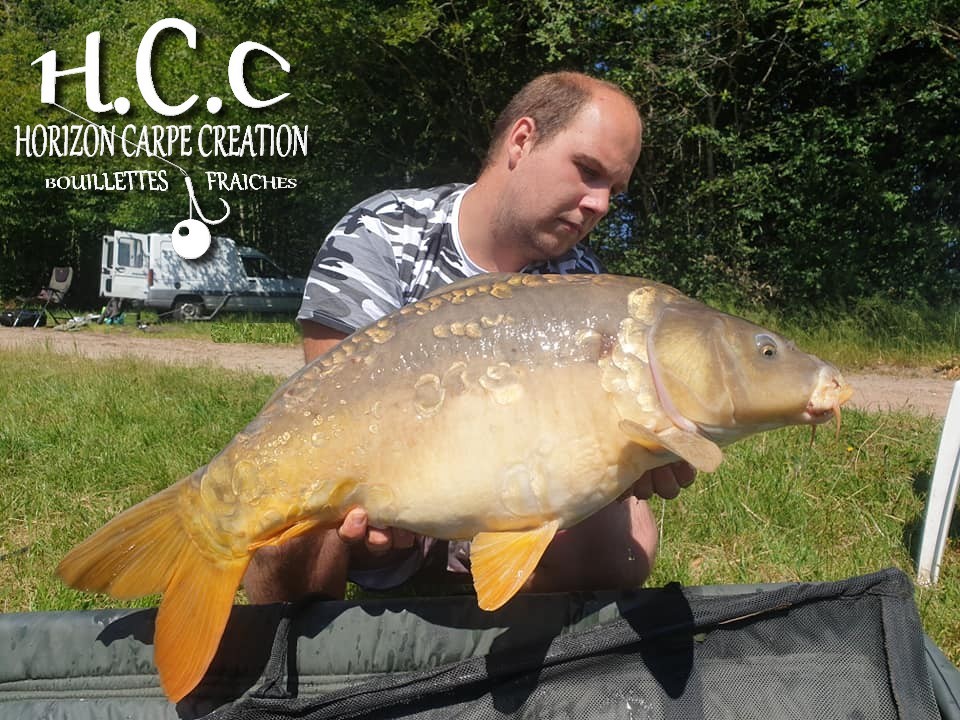 CHRISTOPHER LANSON - TEAM HCC