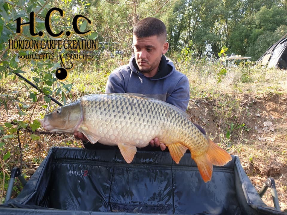 CHRISTOPHER LANSON - TEAM HCC