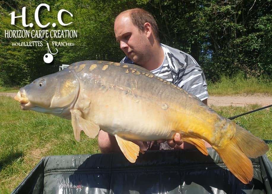 CHRISTOPHER LANSON - TEAM HCC
