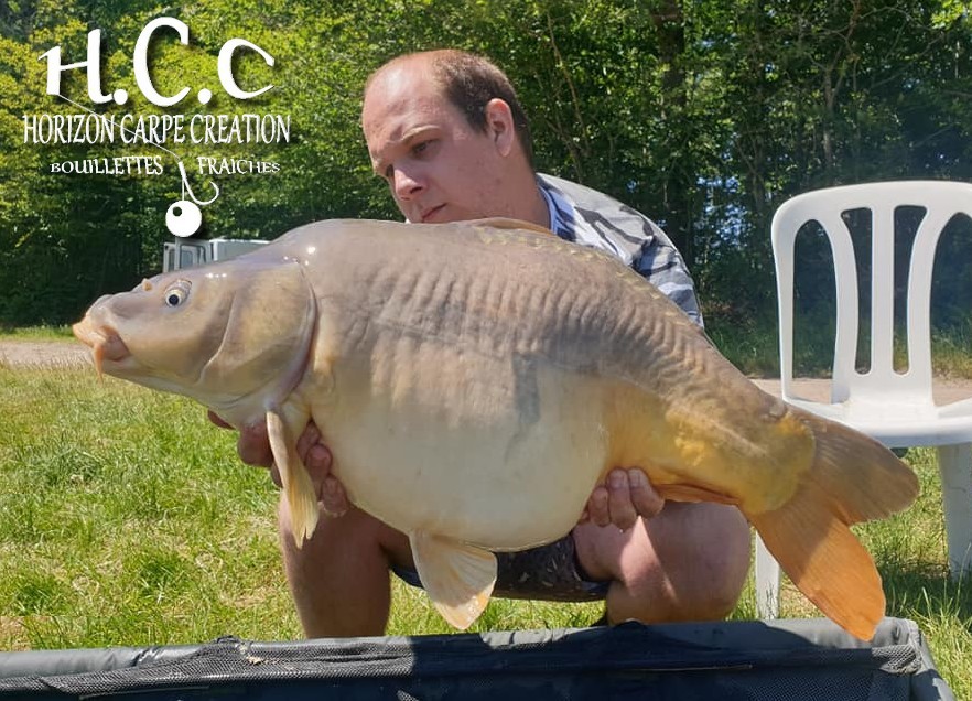 CHRISTOPHER LANSON - TEAM HCC